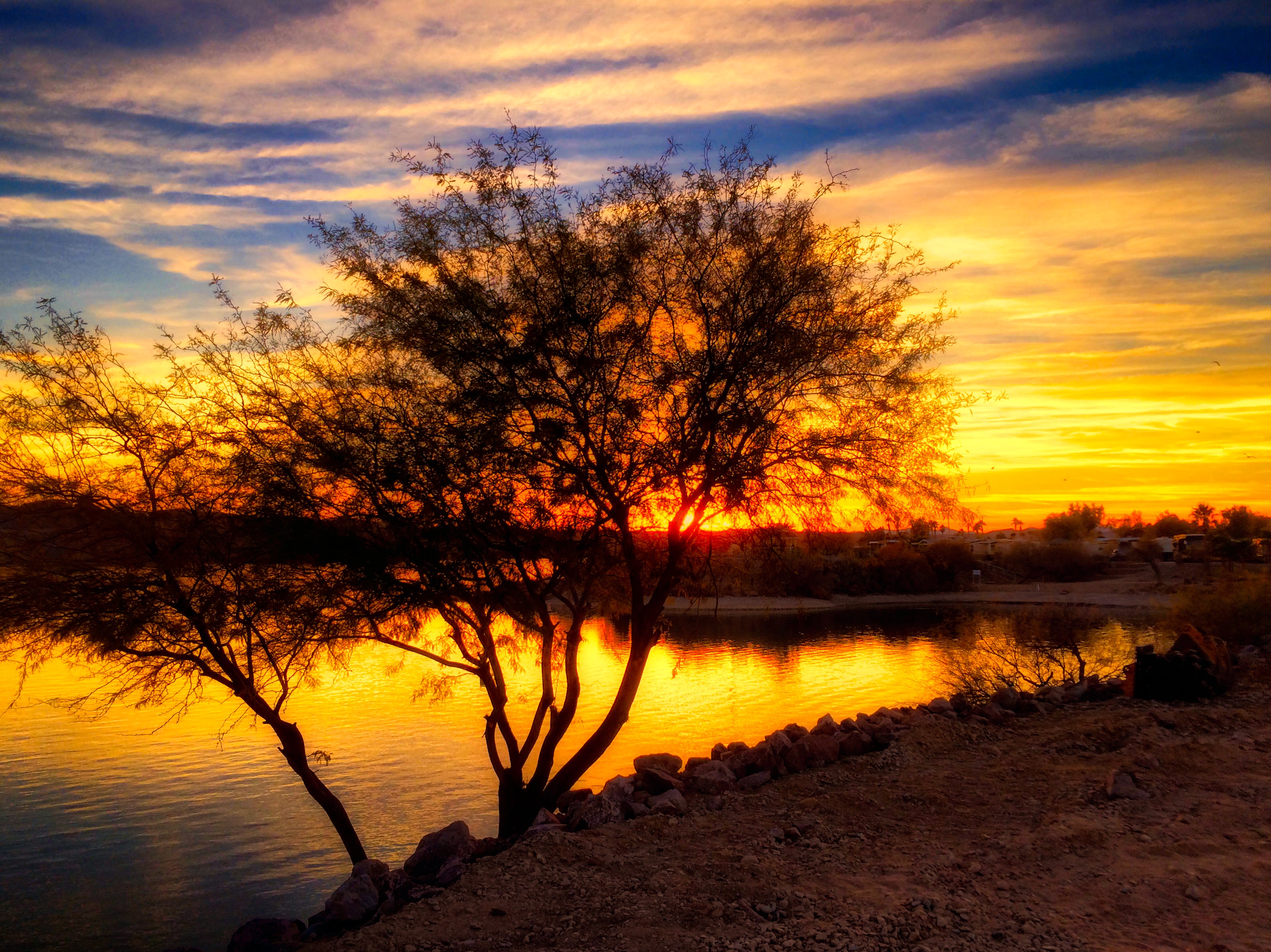 Havasu Sunset